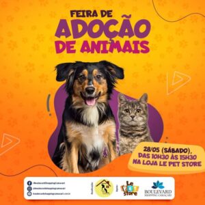 Feira de Adoção de Animais